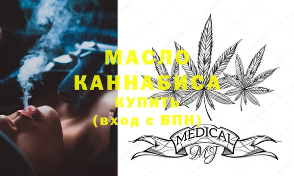 индика Сосновка